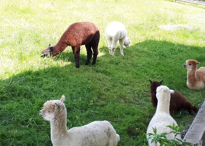 Brenner * سانكت كاثرين ام اوفينيغ